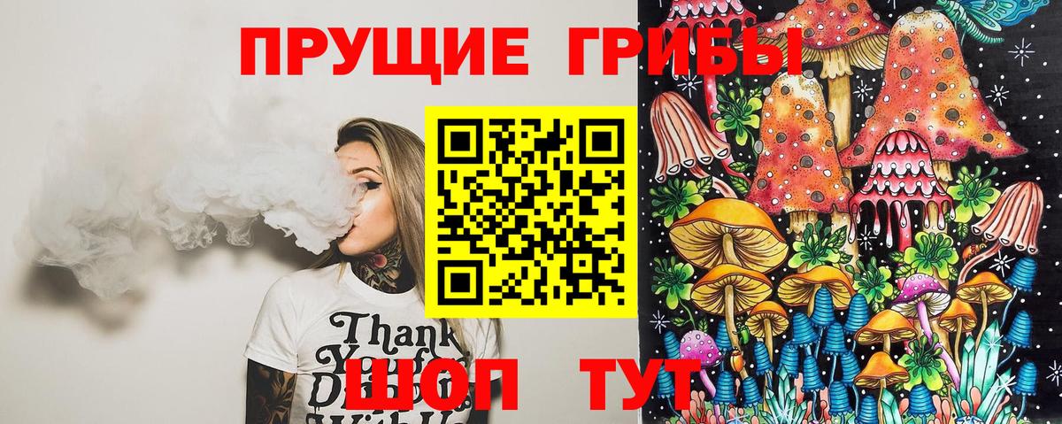 купить закладку  Вход с VPN  Кушва  Галлюциногенные грибы Cubensis 
